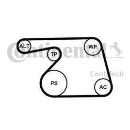 zestaw-paska-wieloklinowego-6pk1318k2-contitech