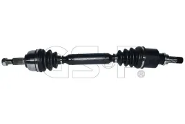 polos-nap-le-renault-scenic-ii-03-250403-gsp