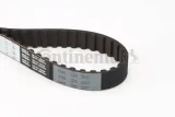 pasek-rozrzadu-ct662-contitech-producent-czesci-continental
