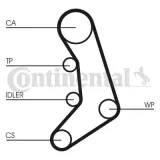 pasek-rozrzadu-ct758-contitech-producent-czesci-continental