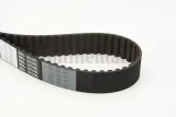 pasek-rozrzadu-ct700-contitech-producent-czesci-continental