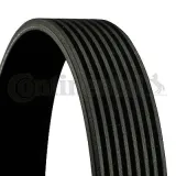 pasek-wieloklinowy-8-pk-2000-producent-czesci-continental