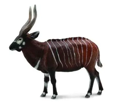 antylopa-bongo-collecta