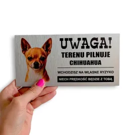 tabliczka-uwaga-pies-terenu-pilnuje-chihuahua