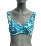 gora-od-bikini-lascana-40