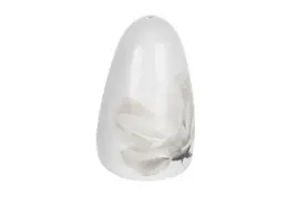 lubiana-ewa-magnolia-pieprzniczka-6474