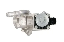 zawor-egr-7-01621-08-0-pie