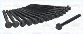 zestaw-srub-glowicy-cylindrow-81020000-ajusa