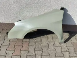 citroen-c5-iii-2008-blotnik-przedni-lewy-nowy