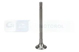 zawor-wydechowy-v016691-bga