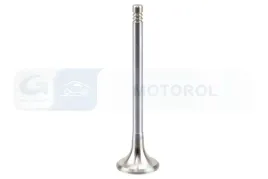 zawor-wydechowy-v165961-bga