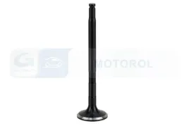 zawor-wydechowy-v991694-bga