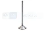 zawor-ssacy-v998912-bga