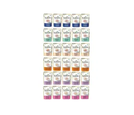 schesir-mokra-karma-dla-kota-mix-6-smakow-w-galarecie-zestaw-30x50g