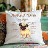 poduszka-na-prezent-anatomia-mopsa-stan-nowy