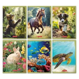 zeszyt-w-linie-a5-herlitz-animals-2025-linia-podwojna-kolorowa-32-kartki