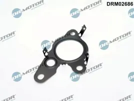 uszczelka-zaworu-egr-renault-master-2-3dci-14-