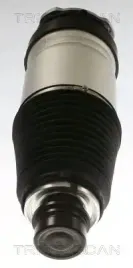 poduszka-powietrzna-tesla-p-model-s-ev-12-le-pr
