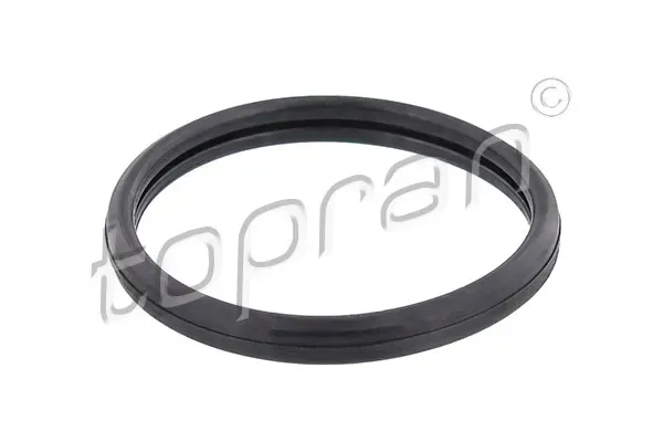 uszczelka-termostatu-ford-waga-z-opakowaniem-2-kg