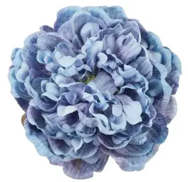 peonia-glowka-15-cm-piekny-kwiat-blue