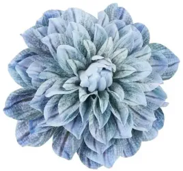 dalia-glowka-17-cm-piekny-kwiat-blue