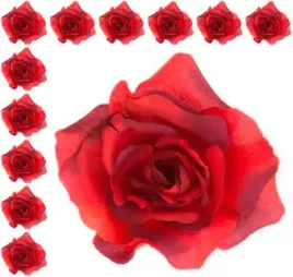 roza-francuska-glowka-red-black-12-sztuk