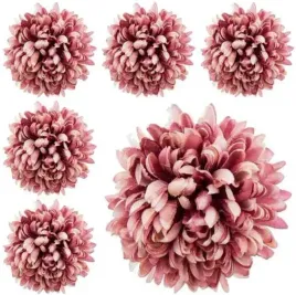 chryzantema-ananas-glowka-6-szt-kwiat-d-mauve-pink