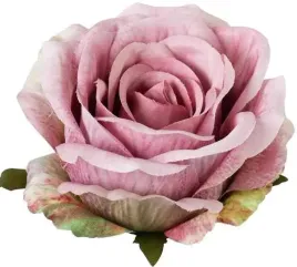 roza-satynowa-sliczna-glowka-lekko-rozwijajacej-sie-rozy-autumn-pink