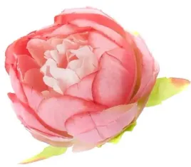 peonia-glowka-wyrobowa-piwonia-kwiat-pink-peach-center