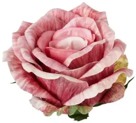roza-satynowa-sliczna-glowka-lekko-rozwijajacej-sie-rozy-autumn-peach