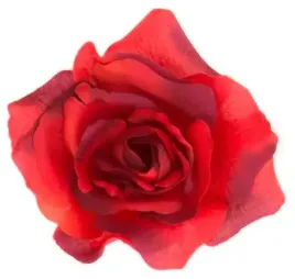 roza-francuska-glowka-wyrobowa-kolor-red-black