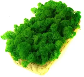 mech-ozdobny-chrobotek-reniferowy-200g-lt-gr-grass