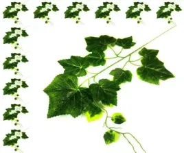 lisc-winogrono-galazka-dk-green-liscie-12-szt