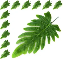 lisc-philo-liscie-filodendron-green-12-szt