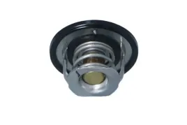 termostat-subaru-forester-08-