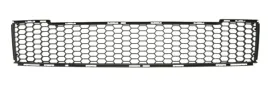 atrapa-w-zderzaku-303527-303527