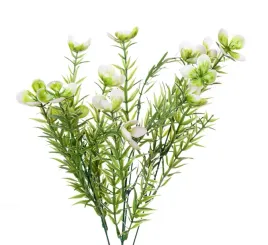dziurawiec-zielony-bukiet-drobnych-kwiatow-37cm