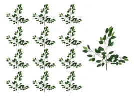 fikus-galazka-zielona-lisciasta-60cm-12-sztuk