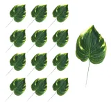 lisc-filodendron-12-sztuk