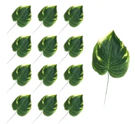 lisc-filodendron-12-sztuk