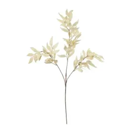 ruskus-z-owockami-kremowy-galazka-81cm