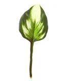 sztuczne-liscie-hosta-funkia-lisc-galazka-do-wiazanek-kompozycji-12-sztuk-stan-nowy