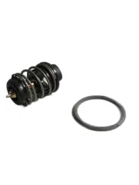 termostat-vw-polo-14-tdi-14-