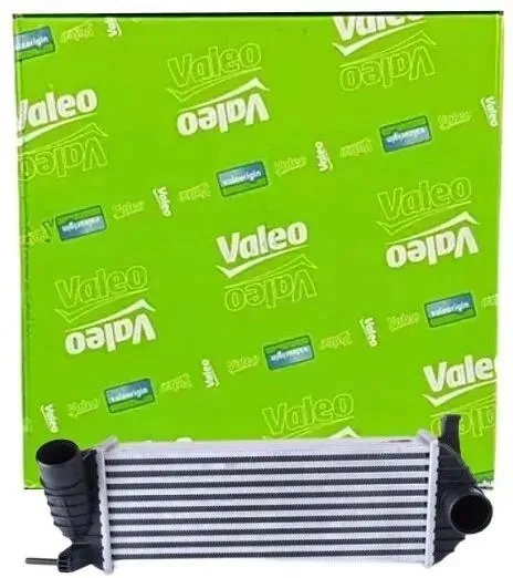 intercooler-renault-kangoo-08-15dci-typ-samochodu-samochody-dostawcze