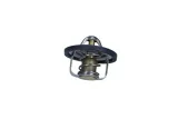 termostat-vw-92c-typ-samochodu-samochody-osobowe