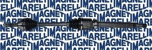 polos-ford-transit-connect-pr