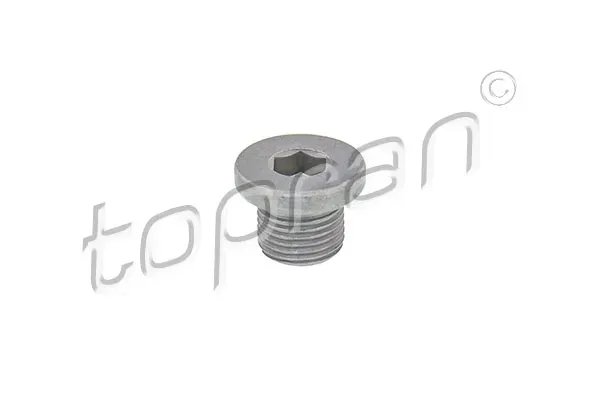 sruba-spustu-oleju-citroen-c4-04-