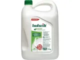 ludwik-5l-mieta