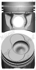 tlok-87-114900-95-nur