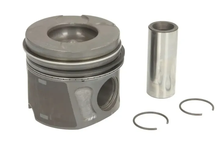 tlok-87-435706-00-nur